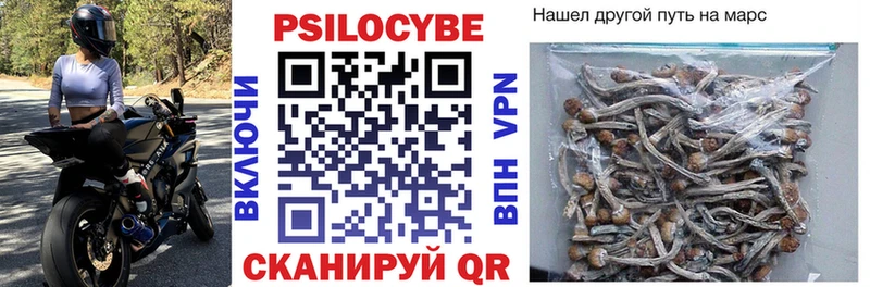 Купить закладки  Таганрог  Галлюциногенные грибы ЛСД 