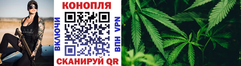 Конопля семена  Купить  Таганрог 